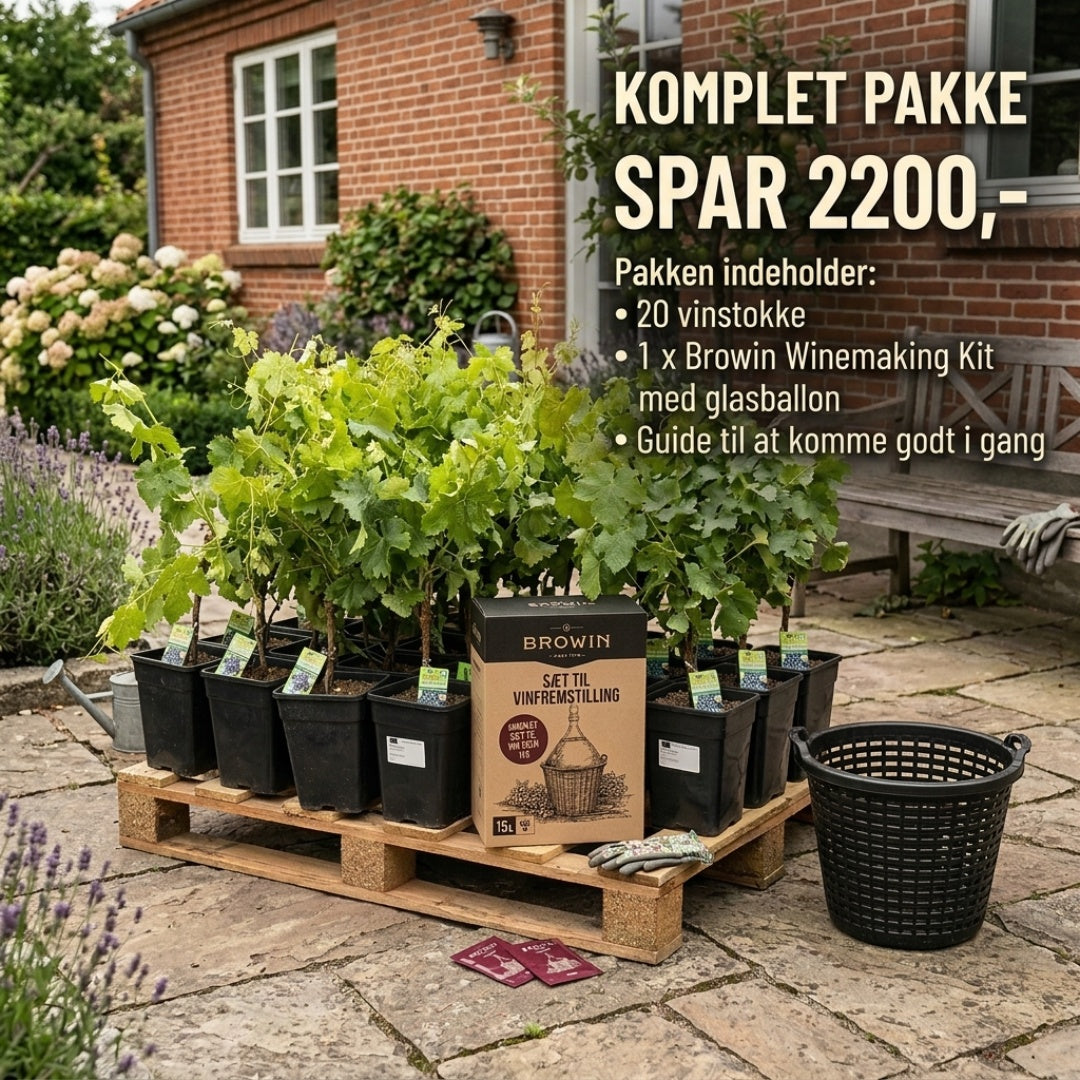 DEN SERIØSE VINMAGER PAKKE (20 vinstokke)